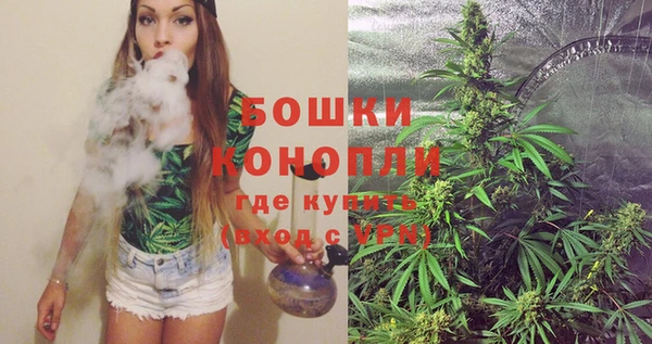 PSILOCYBIN Алексин
